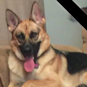 Meet your Posher, Lelia